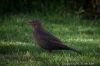 IMG_5256.jpg